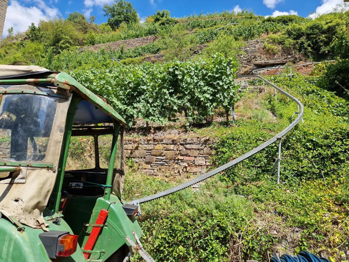 Weingut Haxel Hotel Cochem Exterior photo